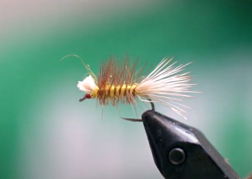 Tie It Yourself: Dyret Dry Fly