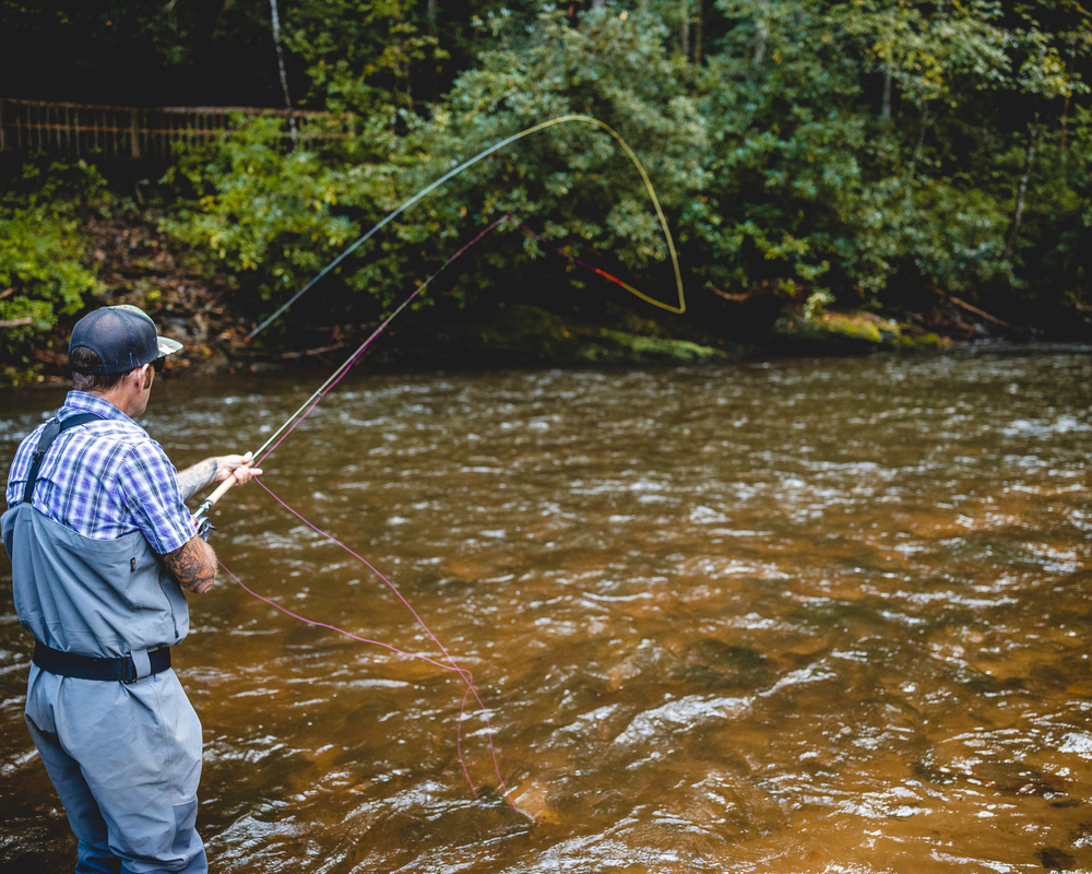 Davidson &amp; Area Rivers

Rod: link to something&nbsp; &nbsp;Reel: a link
Line: A link to some line
