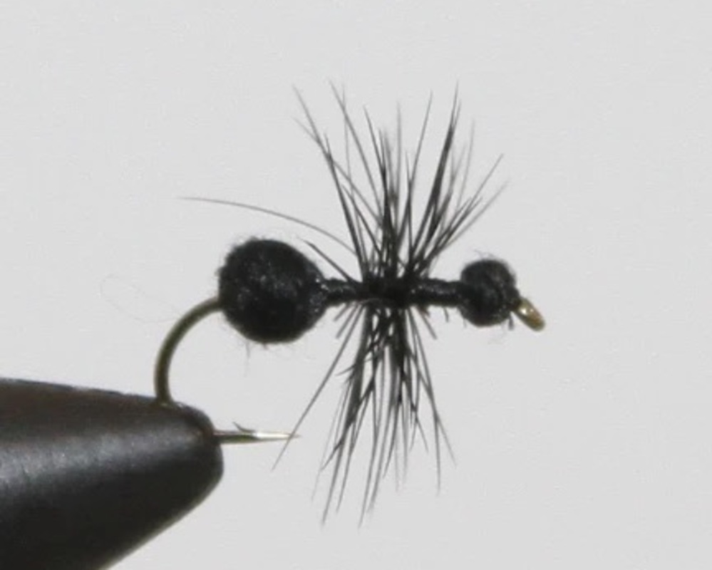 Fur Ant
