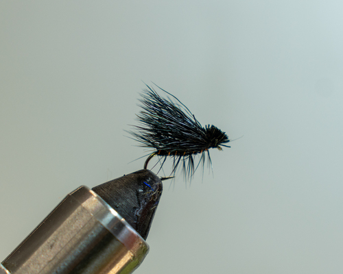 Black Elk Hair Caddis
&nbsp;
