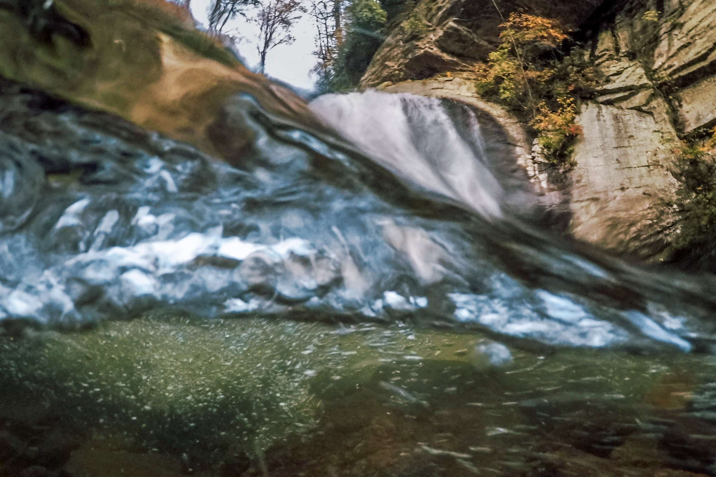 Weather and Water Conditions in Brevard NC | Davidson River Outfitters