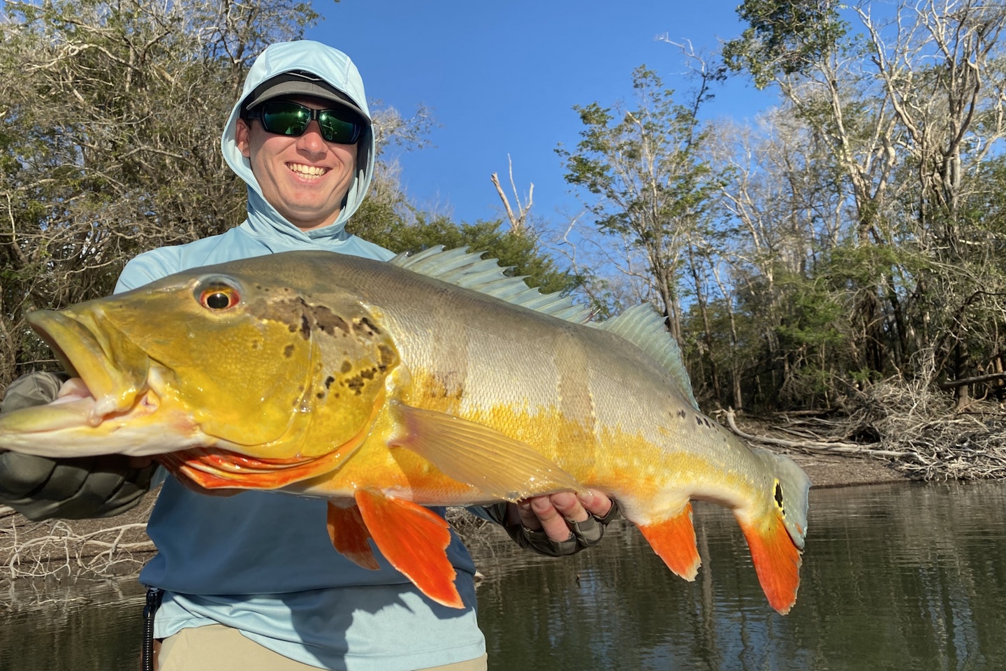 amazon river peacock bass fishing trips