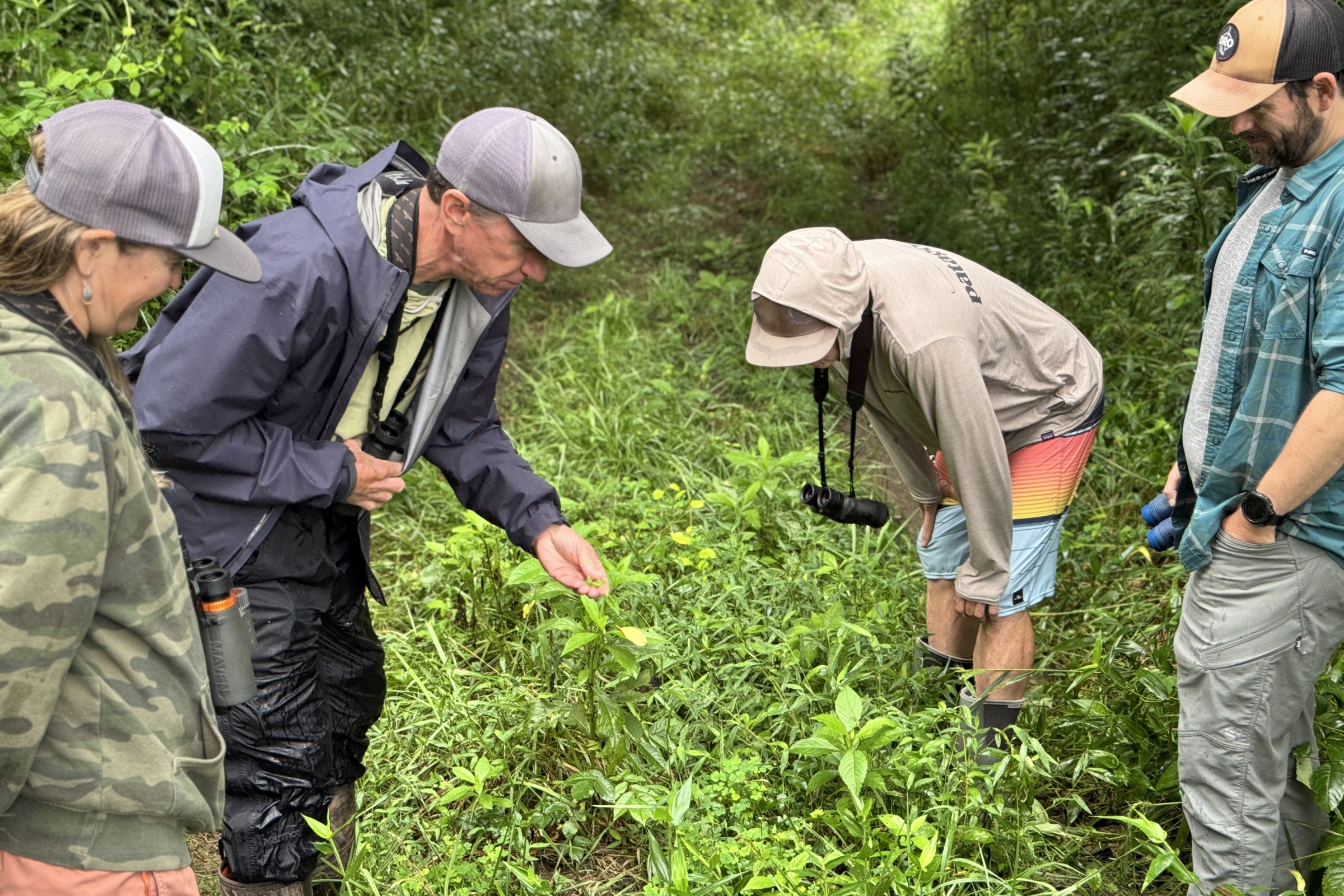 Guided Nature Tours | Davidson River Outfitters
