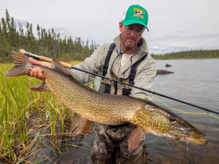 Guided Canada Northern Pike Trip