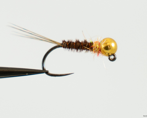 Jig Frenchie
It rides hook point up, it has a hot spot, and it has pheasant tail; what more could you need?
