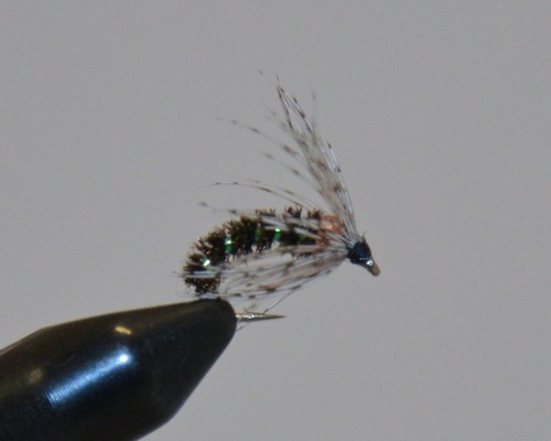 Howell&#39;s Memory Maker
Designed by Kevin Howell as a soft hackle caddis nymph this tungsten beaded soft hackle is a guide favorite. Originally tied with peacock herl, it was proven so effective that Kevin added a dark tan and caddis green version. The Copper tungsten bead is set in the thorax position forcing the soft hackle to have more movement when it interacts with the current.
