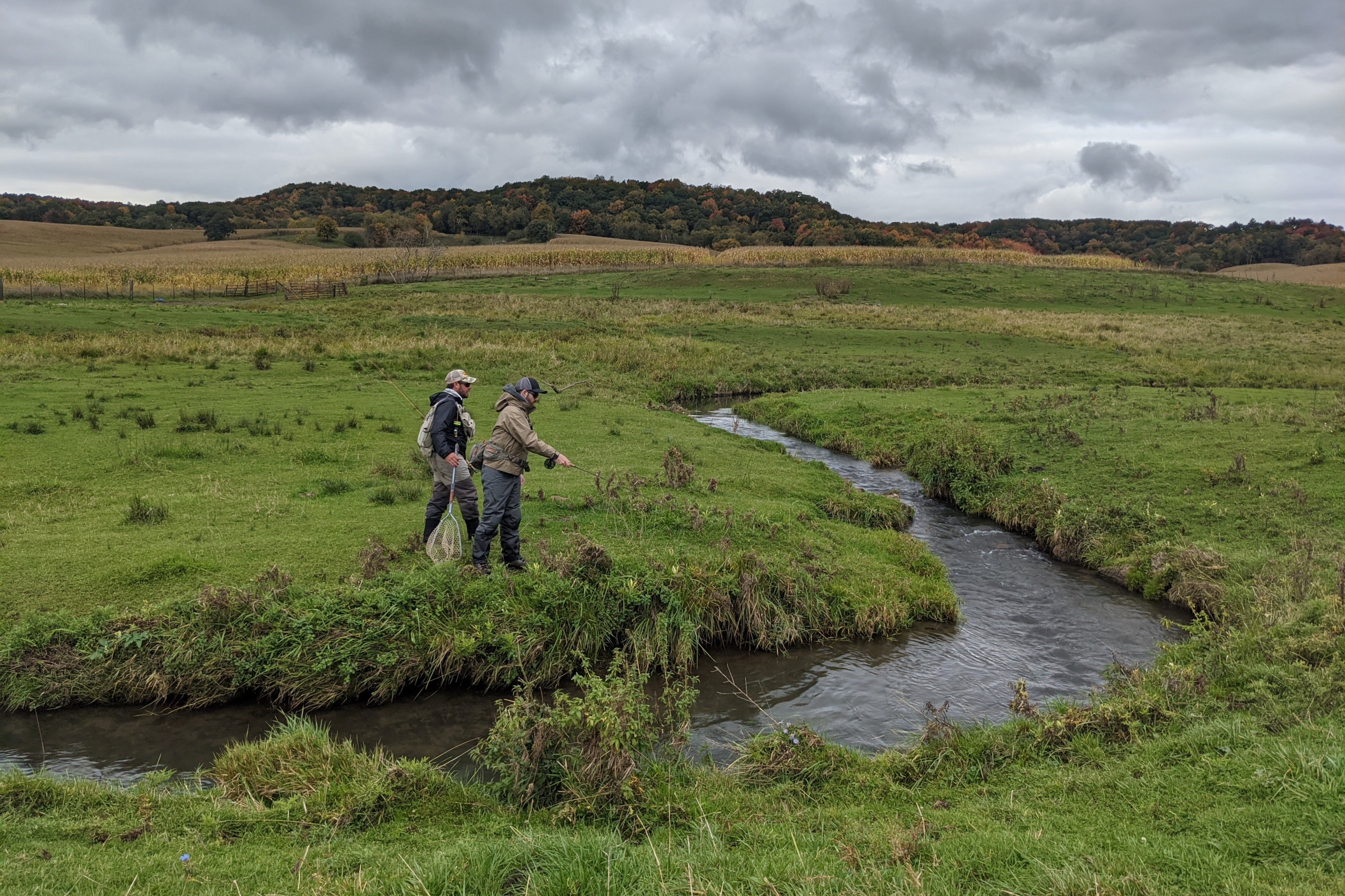 Guided Driftless Fly Fishing Trips | Davidson River Outfitters