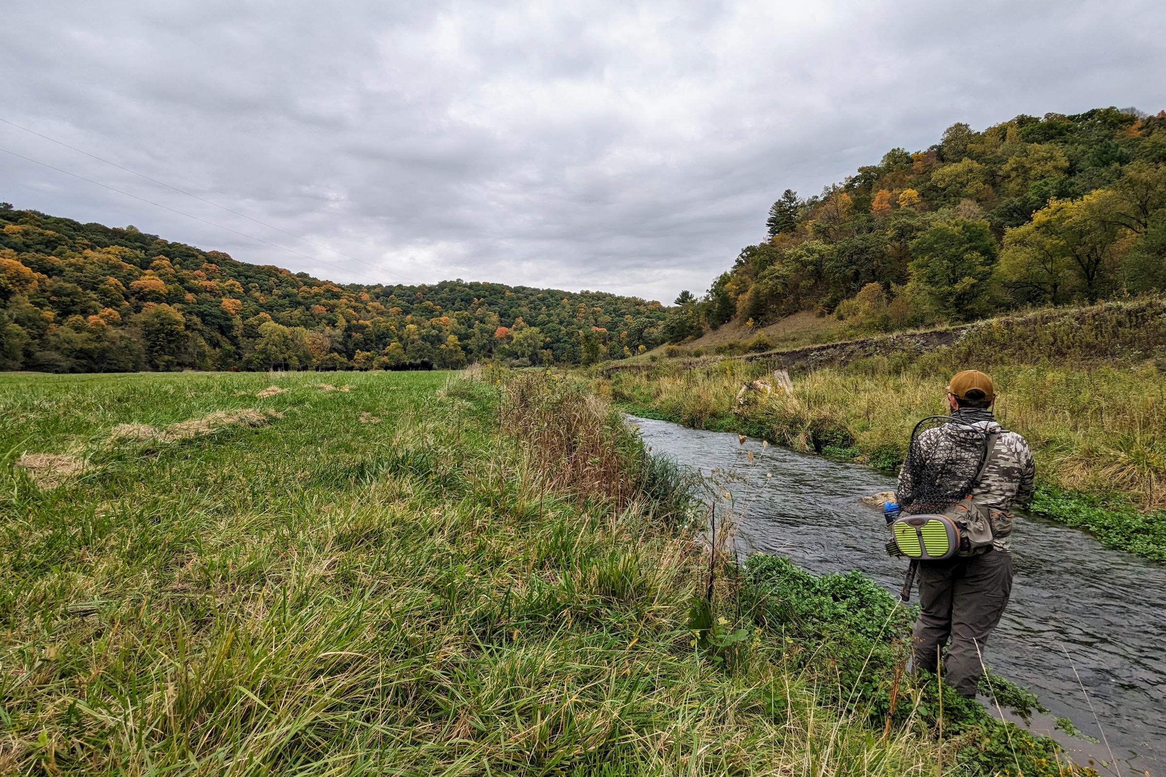 Guided Driftless Fly Fishing Trips | Davidson River Outfitters
