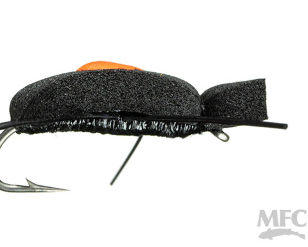 Quick Sight Beetle
