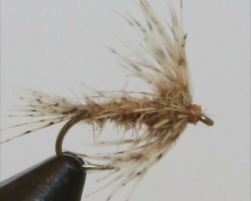 Soft Hackle Pheasant Tail
Soft Hackles have been used by anglers for over 200 years. They are a staple in every serious guides fly box. A proven guide fly and a go to when the times are tough.
