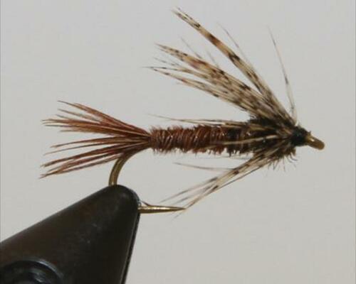 Soft Hackle
Soft Hackles have been used by anglers for over 200 years. They are a staple in every serious guides fly box.&nbsp;
