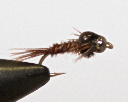 Tungsten Death Metal
A great variation of a Pheasant Tail and has proven to be one of our best guide flies of all time.
